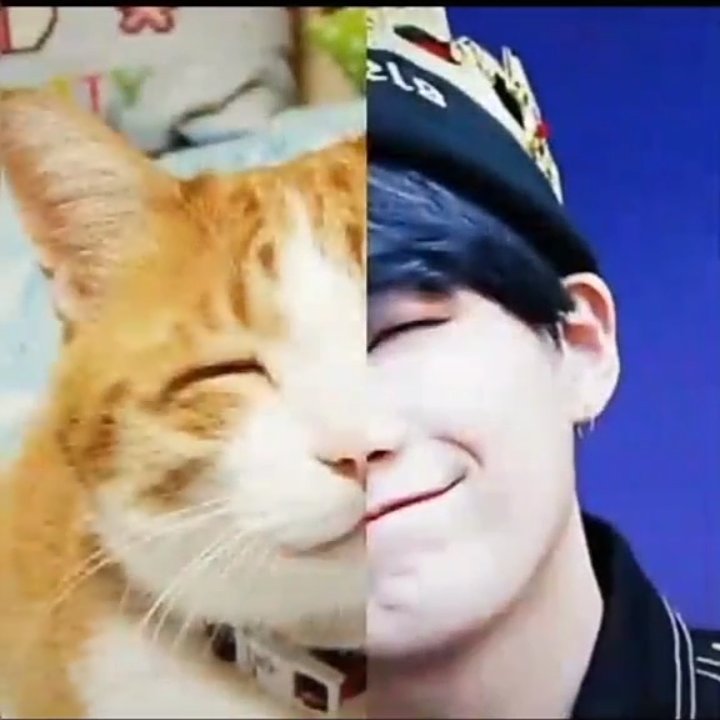 HadilGharbi4's tweet photo. Sooo cuuteee😂😂❤️❤️❤️❤️
#bts_twt
#tunisia_army https://t.co/FwRRcjCWkE