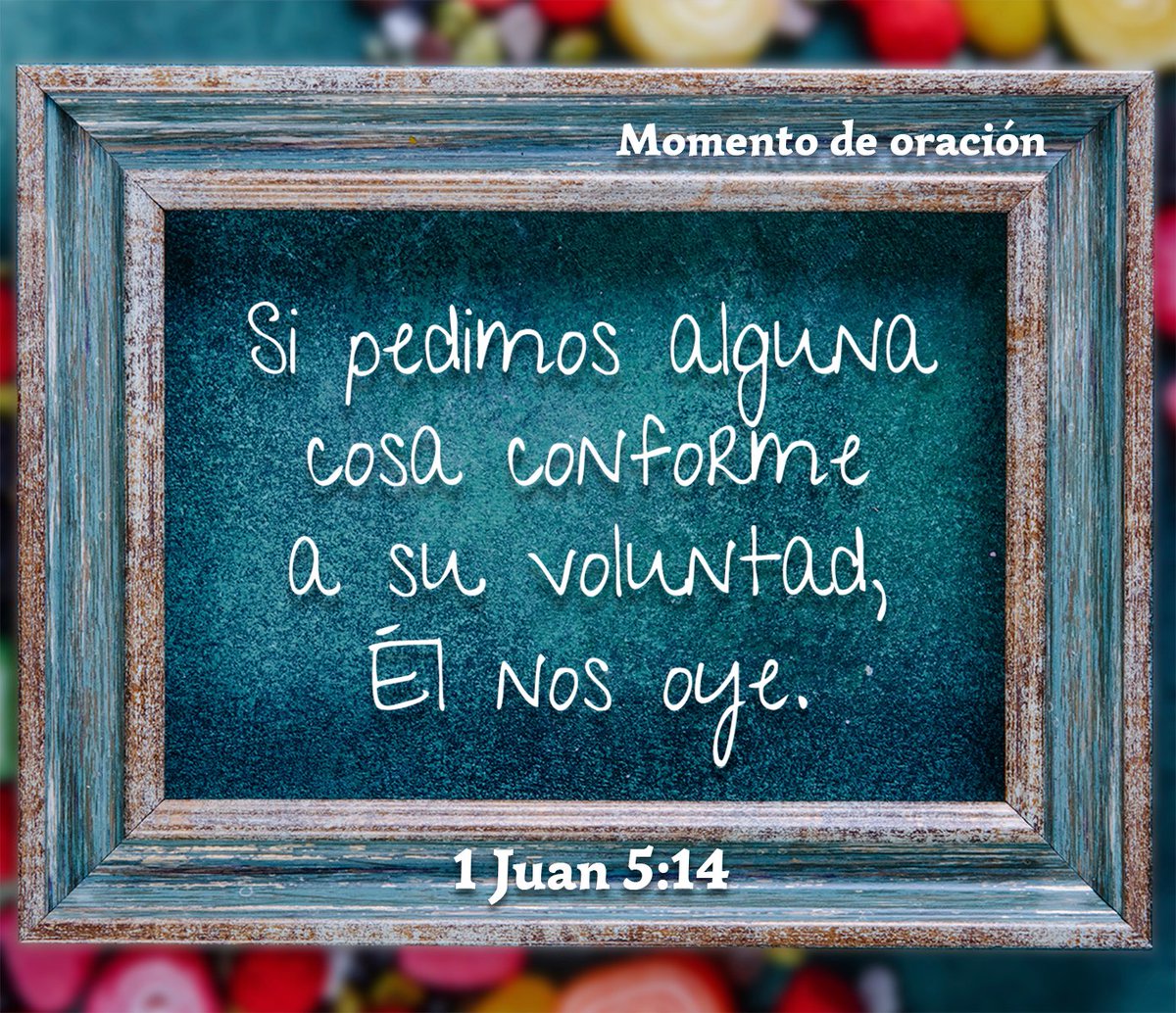CercaEsta's tweet photo. Esta es la confianza que tenemos en Él!
https://t.co/T9tzzuIm92 #pedirconfe #orarconfe #esperarconfe https://t.co/88HgdyzSA4
