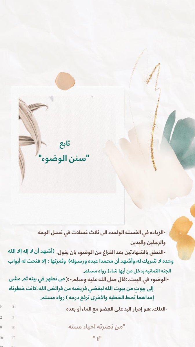 #نصرة_رسول_الله 

"من نصرته إحياء سنته"🌱🤍
"٤"