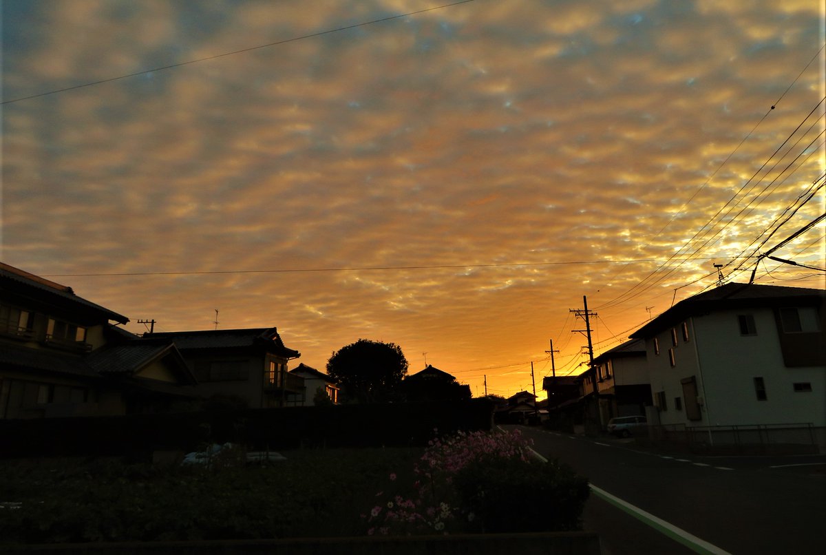 朝焼け雲 Hashtag Pa Twitter 朝焼け雲 Hashtag Pa Twitter