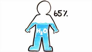 ManzanaresAso's tweet photo. @HidroCapital2 El agua es un DERECHO HUMANO, 3053 familias exigimos agua por tubería YA. El 65% del cuerpo Humano es AGUA!. Exigimos ciclos de bombeo  efectivos y continuos. Con 22 horas efectivas de bombeo desde la EBM no recuperamos 48 tanques. #ManzanaresExigeAguaPorTuberiaYa https://t.co/bJos7y4spr