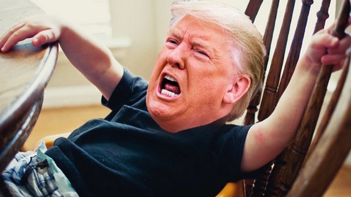 WeWatchBadTV's tweet photo. Joe Biden: "Be patient, folks. Votes are being counted, and we feel good about where we are."
Trump: whaaaaaaaa!
#ElectionResults2020 #BidenHarris2020 https://t.co/wso0I5tAYc