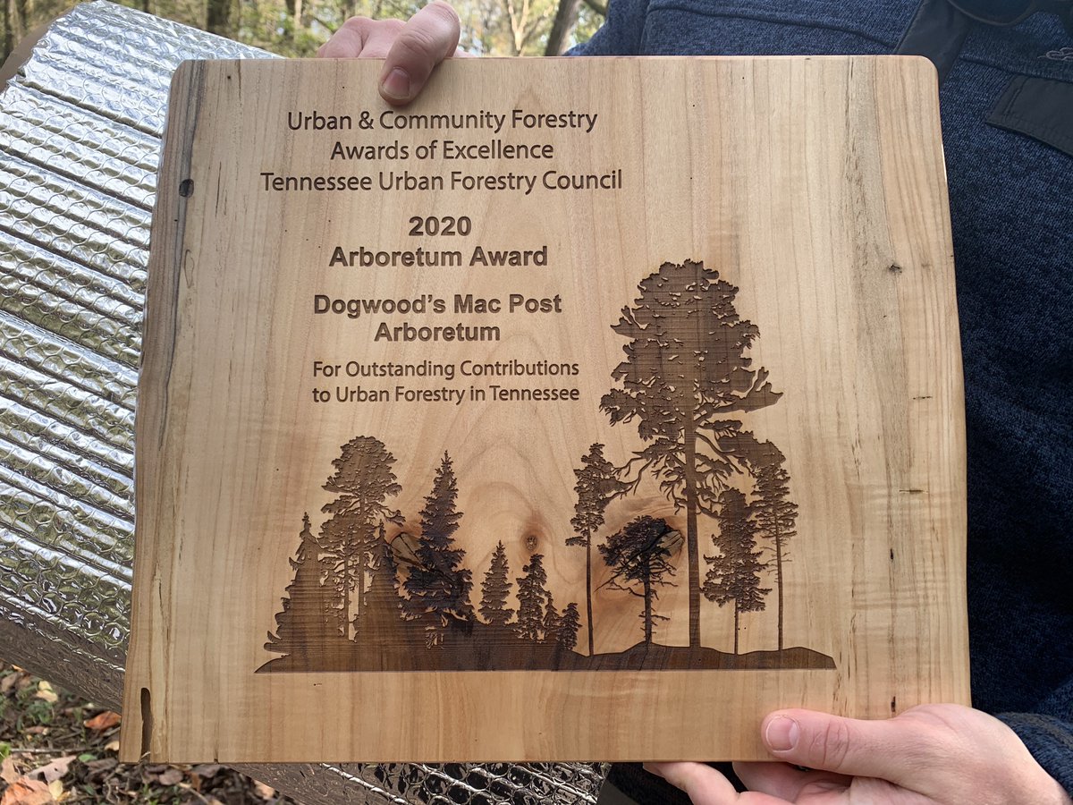 LanaSheltonLow's tweet photo. #DFL Mrs. Strouse &amp; our Mac Post  Arboretum was awarded the Urban &amp; Community Forestry Award of Excellence by the Tennessee Urban Forestry Council.  #schoollikenoneother @CarsonDailey77 @DFLDogwoodES #community @BetsyPickle @GSP_KnoxCo_TN https://t.co/Uud59LtgvN