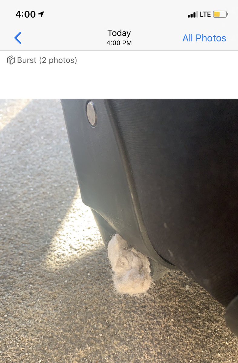 #STOWAWAY ##DRAGONFLUFFPUPPY