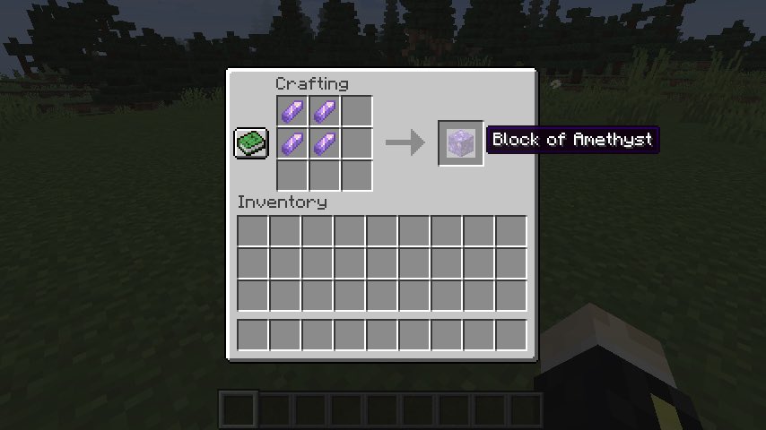 Saziumr w45a なお アメジストの芽 の成長は非常に遅いです この動画は通常の100倍の速度で成長させています 動画途中のコウモリは無関係です