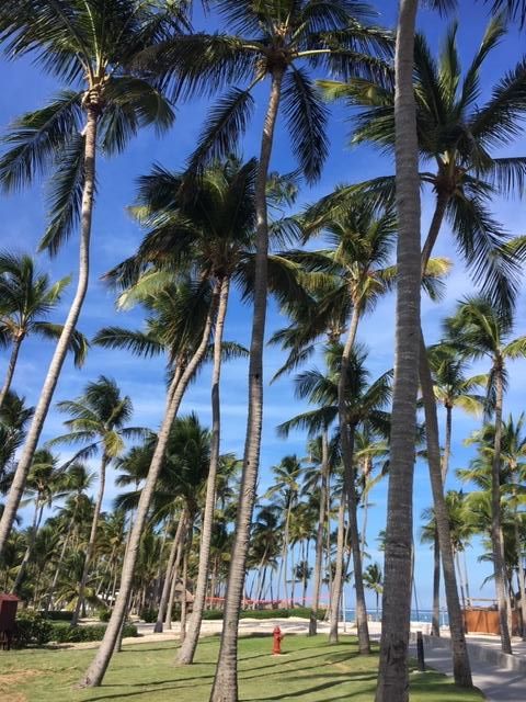 ABSeaInterline's tweet photo. #InterlineCruiseDeals #SeaDream #ClubMed #YouNeedAVacation #AirlineEmployeeTravel https://t.co/V94JtA5iZe https://t.co/8TF8z6g1O0