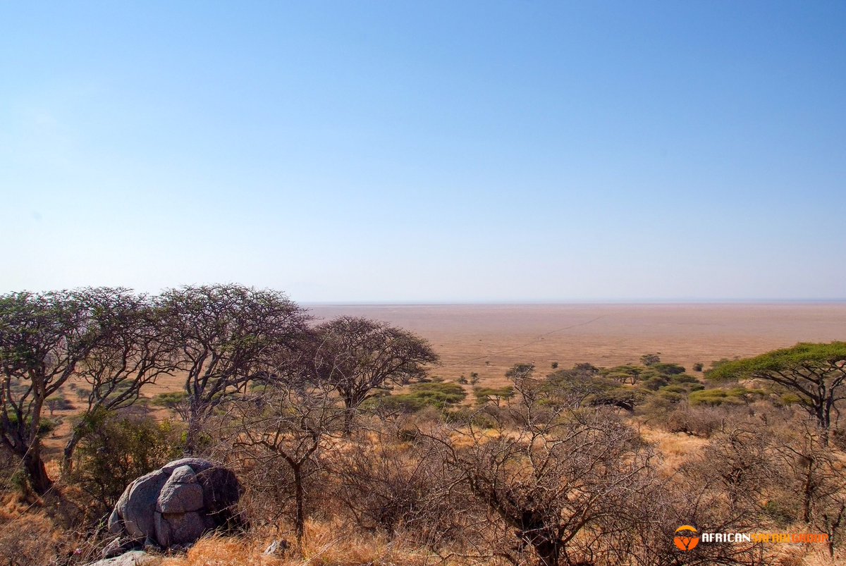 African Safari Group tweet media