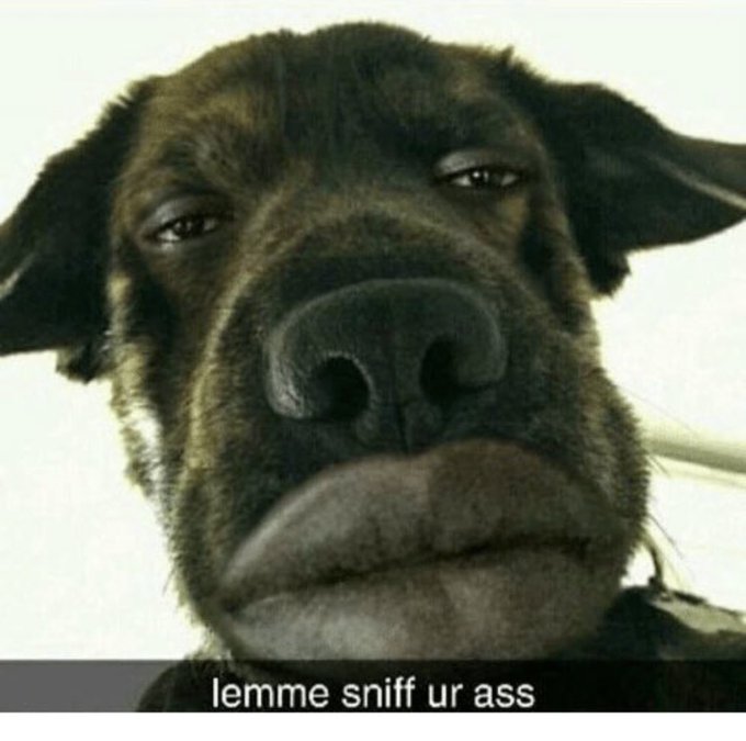 Watch ari's leaked NSFW photo on TwXstars