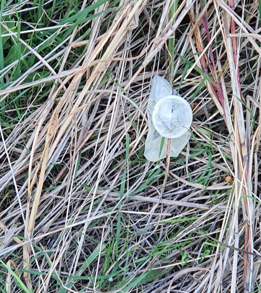 AdrijanPg's tweet photo. Another yummy #condomhunt :) #usedcondom #UsedCondoms #cumloads #cumfilled #fullcondom #cumlover https://t.co/wtExynqBzr