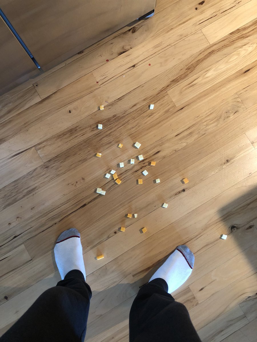 CaucasianJames's tweet photo. here’s some cheese cubes i just dropped to cleanse the timeline https://t.co/voCWVw7M9s