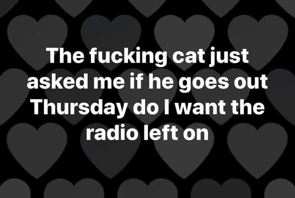 IanBeuster's tweet image. 