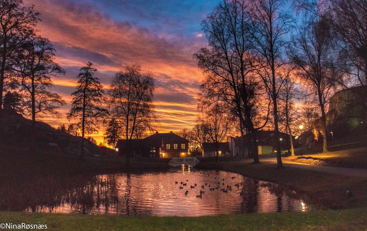 kanDusiHalden's tweet photo. Vakker solnedgang ved andedammen på Fredriksten Festning i kveld! Foto: @NinaRosnes https://t.co/cMls8Rbnsz