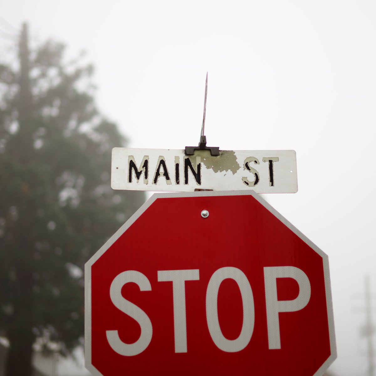 Stop by Main St in Sutter Creek this weekend! Enjoy delicious wine, perfect Autumn weather, and small town charm🍷