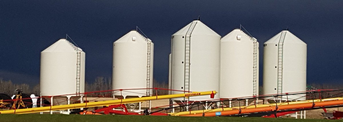 msjamiescott's tweet photo. This fall @NeerlandiaCoop an excellent shot captured by Marianne! Works well for the #ShowUsYourAGI @AgGrowthIntl contest. https://t.co/oD7zmyfyhw