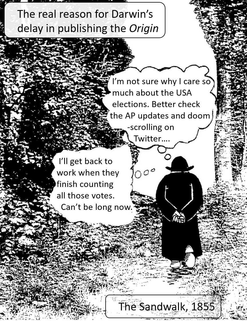 Darwin and the Sandwalk: elections. For more on what might have wasted Darwin's time go to  <a href="/ecolincnz/">Ecology@LincolnUniNZ</a>  and see more lincolnecology.org.nz/?s=Darwin