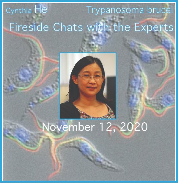 acmcip's tweet photo. Trainees, one week left to register to attend the Fireside Chat with Dr. Cynthia He. Sign up today to receive the zoom link to attend: https://t.co/zot2Cs6toF https://t.co/eWILBHdK18