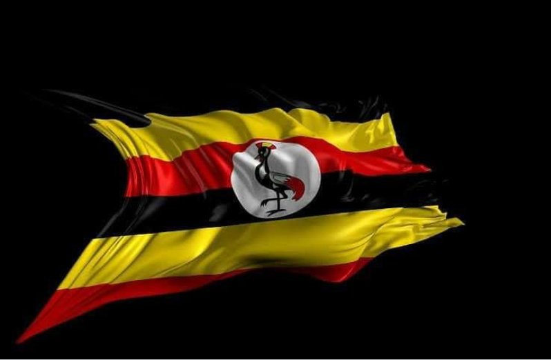 MrBreakfastLira's tweet photo. On Uganda🇺🇬 https://t.co/fCrhhHRUXx