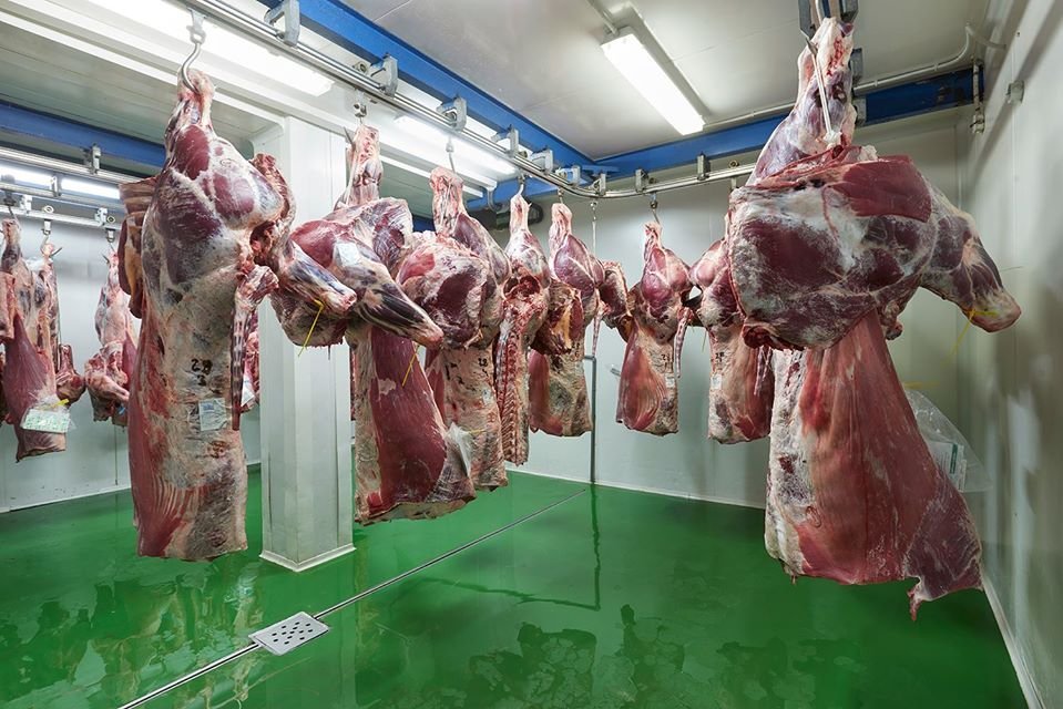 carnicaslabrana's tweet photo. Desde nuestra #camara a la #saladedespiece! Las canales  son preparadas por los mejores profesionales para que lleguen a nuestros clientes con toda su #calidad. #carne #meat #realfood #profesionalescarniceros #carnicaslabrana #procesosdecalidad #desde1972 https://t.co/XAmw6077s5
