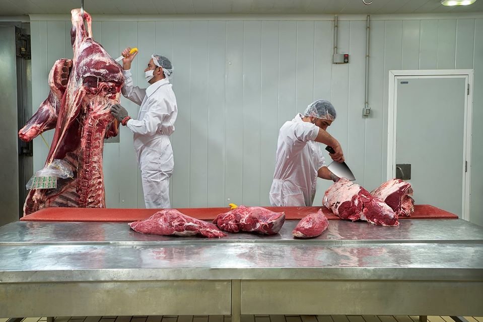 carnicaslabrana's tweet photo. Desde nuestra #camara a la #saladedespiece! Las canales  son preparadas por los mejores profesionales para que lleguen a nuestros clientes con toda su #calidad. #carne #meat #realfood #profesionalescarniceros #carnicaslabrana #procesosdecalidad #desde1972 https://t.co/XAmw6077s5