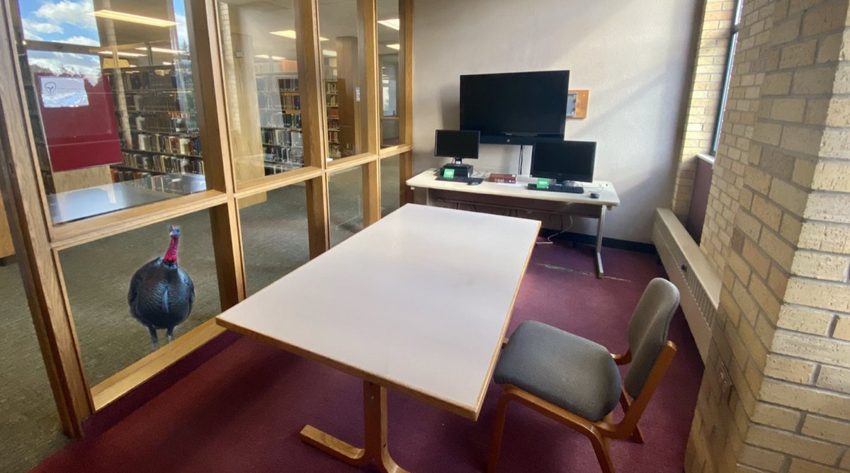 Come study at the #carlb before the turkeys move in for the winter!