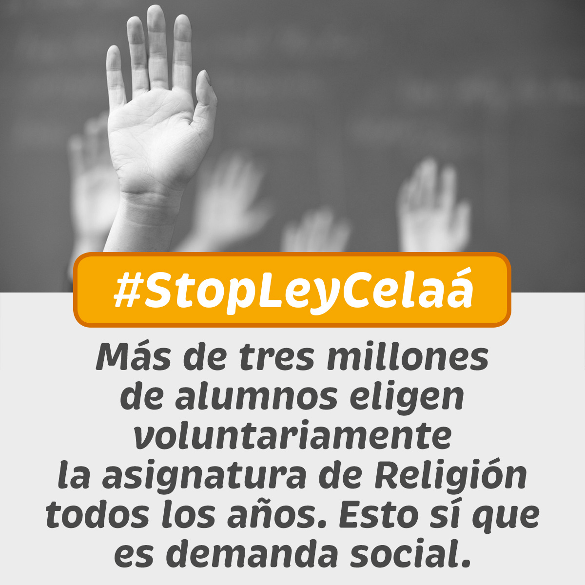 triniapa24's tweet photo. La #LOMLOE quiere imponer poco a poco el modelo público castigando la pluralidad, cercenando la libertad de enseñanza y condenando asignaturas como la de Religión a un segundo plano  #StopLeyCelaá #MasPlurales🧡 #Concertada https://t.co/9Fyb6tluGS