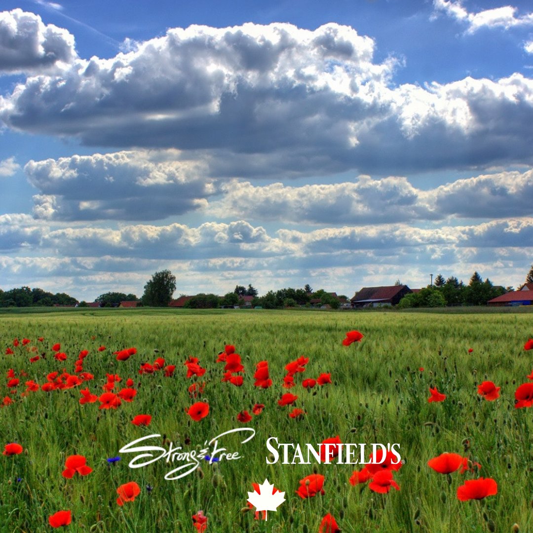 Stanfields1856's tweet photo. As the official licensee of @StrongAndFreeEm we're proud to help promote this passionate brand that represents the strong support of the rights and freedoms for all humankind.

From now until November 11th, save 15% on this collection.🍁

#Stanfields #Since1856 #ProudlyCanadian https://t.co/6PVwRSX8fd