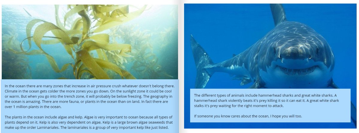 Authors are hard at work here in virtual 5th Grade! We are wrapping up our writing about RQ1- Key Characteristics. Watching my Ss research come to life is amazing! <a href="/AmericanReading/">American Reading</a> <a href="/GenGreeneGators/">General Greene Elementary</a> #ARCtastic #youngauthors #studentexperts #readtolearn #writetoteach