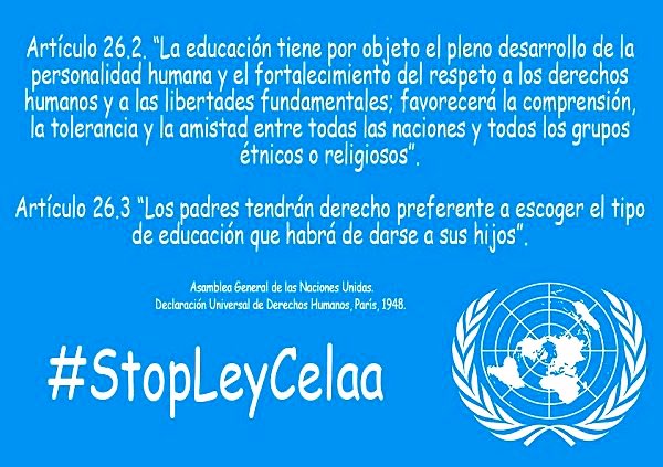 GUILLERMO SABARIEGOS tweet media