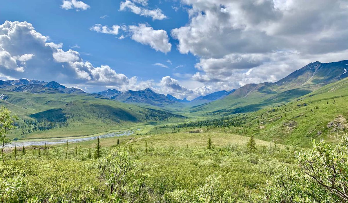 lorosacoast's tweet photo. How to Road Trip the Yukon on a Budget https://t.co/LXG8tkUN9n https://t.co/9kwn529zsu