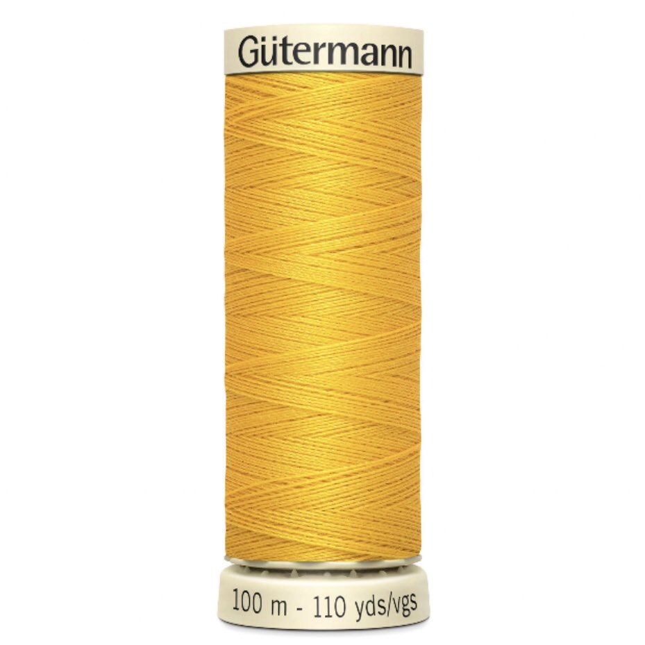 dreamsmp as threads; a thread wilbur