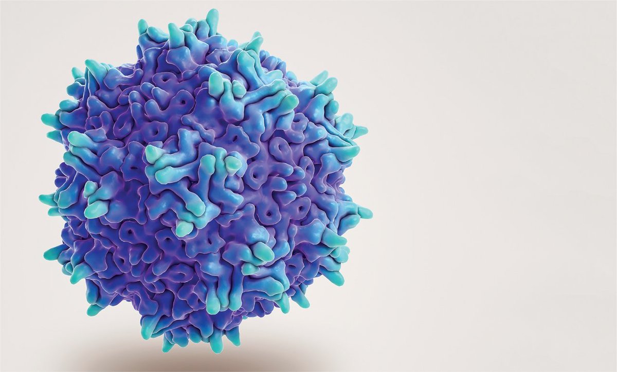 BiocampusMontp's tweet photo. L'équipe de C. Crozet (IRMB/INM) et la plateforme de vectorologie PVM mettront en place une approche optimisée pour l'édition de cellules souches pluripotentes humaines, utilisant des particules virales dérivées de rétrovirus et de virus adéno-associés. https://t.co/6GXdZWSWI5