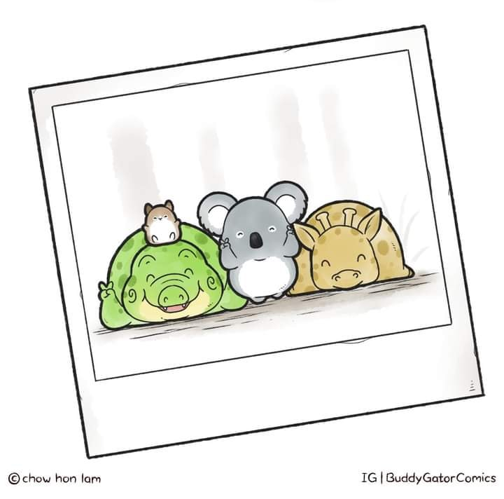 ggluvcats's tweet photo. แงอันนี้น่ารักโคตรรรรรรรรรรๆ https://t.co/XNGVPxv0CI