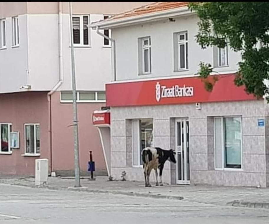 Buza paraları yattı mı?