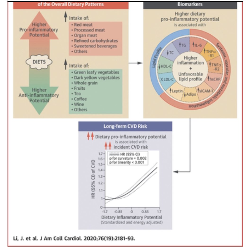 HadyLichaaMD's tweet photo. #AntiInflammatoryDiet is more important in reducing #Cardiovascular events than all the #PercutaneousInterventions that we do. 5 Million person-yr study!
https://t.co/wGEi4Za7xi
@mirvatalasnag @DBelardoMD @HeartOTXHeartMD @a_l_bailey @DrMarthaGulati @LucySafi @ACCinTouch https://t.co/MXRrynn66Z
