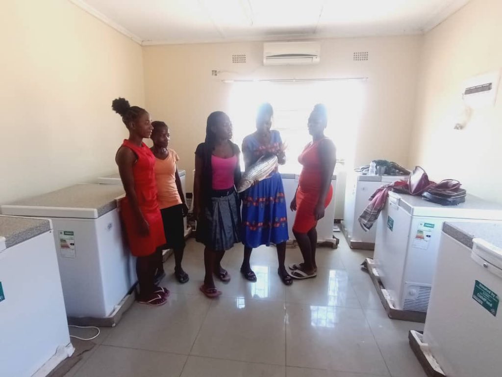 NetsayiMudege's tweet photo. 3 years later Luangwa Fish Trade and Storage facility #zambia initiated by @WorldFishCenter still going strong. Now accommodates a youth cooperative offering fish freezing and storage services. #Youth4DEV @FISH_CGIAR @Tabitha43654091 #fisheries https://t.co/ngxkuZLPv1