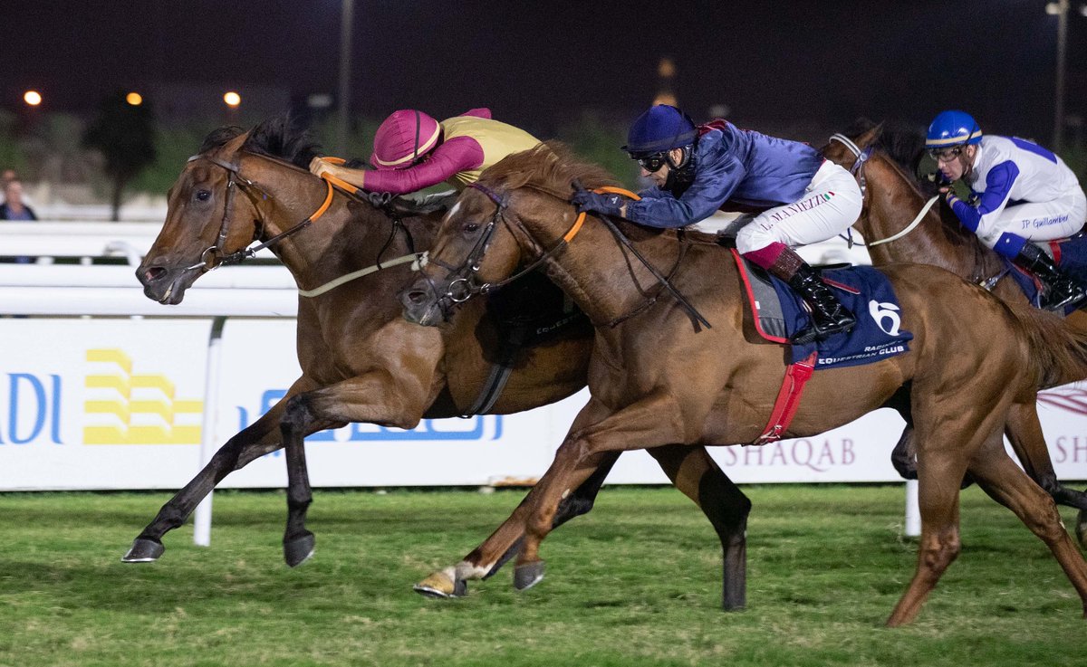 نادي السباق والفروسية A Twitter Abdulatif Hussain Al Emadi S Pazeer Fr Siyouni Lands The Gr3 Barzan Cup On Turf At Qrec Al Rayyan Park Soufiane Saadi Rode The Ibrahim Al Malki Trained 6yo