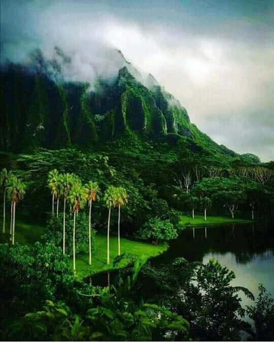 CesarP1927's tweet photo. *Naturaleza!
Paisaje esplendido... https://t.co/EPwo7gnVi6