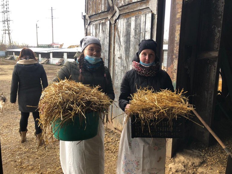 neprjadvenskaja's tweet photo. 4 ноября 2020 года активисты волонтёрского отряда «Патриоты» МКОУ «Непрядвенская СОШ» Логинова Дарья и Дульнева Алина с командой волонтёров Воловского района посетили приют для бездомных животных в г.Ефремов. https://t.co/Qj41SDbPal