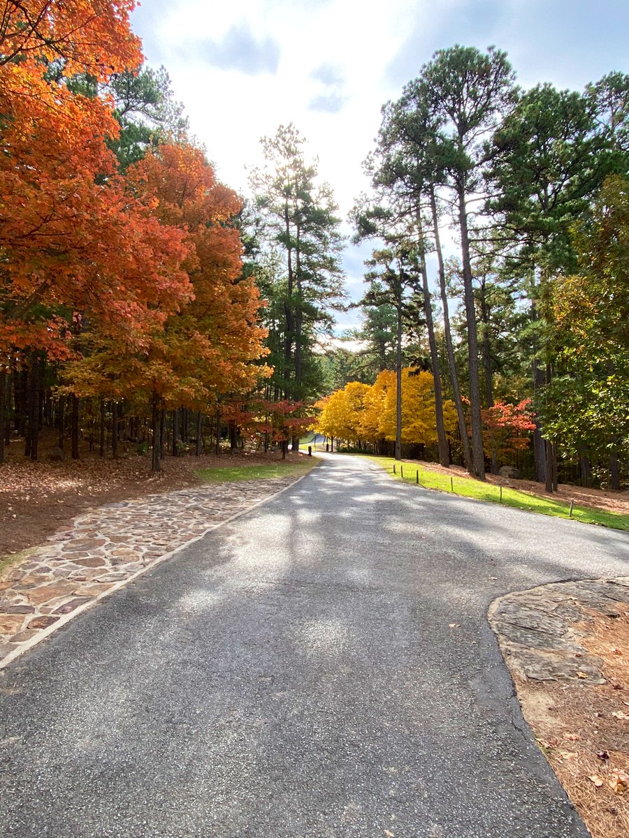 GCMKarlG's tweet photo. It’s here #fall https://t.co/Eo8YOYqovP