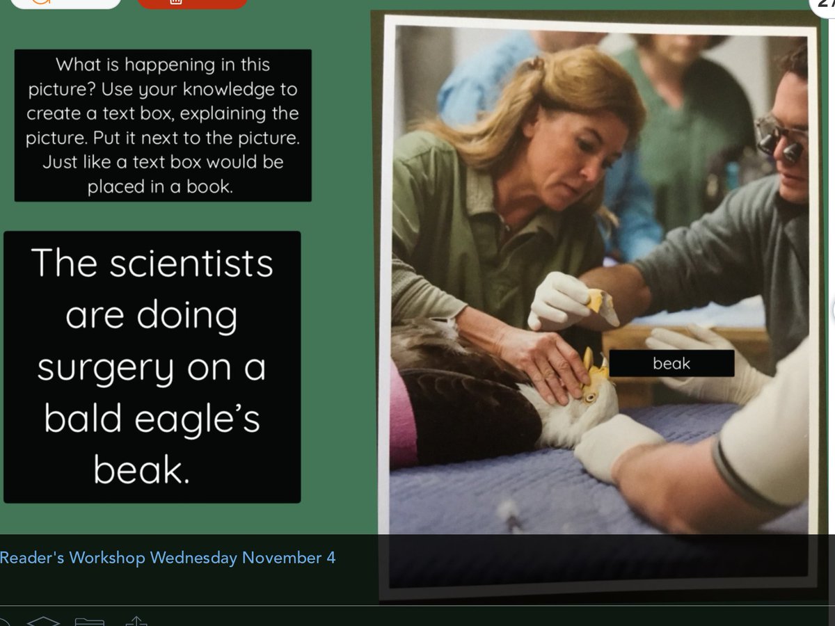 Emily Bowman tweet media