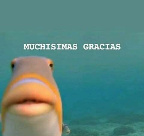 diegomezaI's tweet photo. El mesero parpadea 

Yo* https://t.co/jvNhV2EzrS