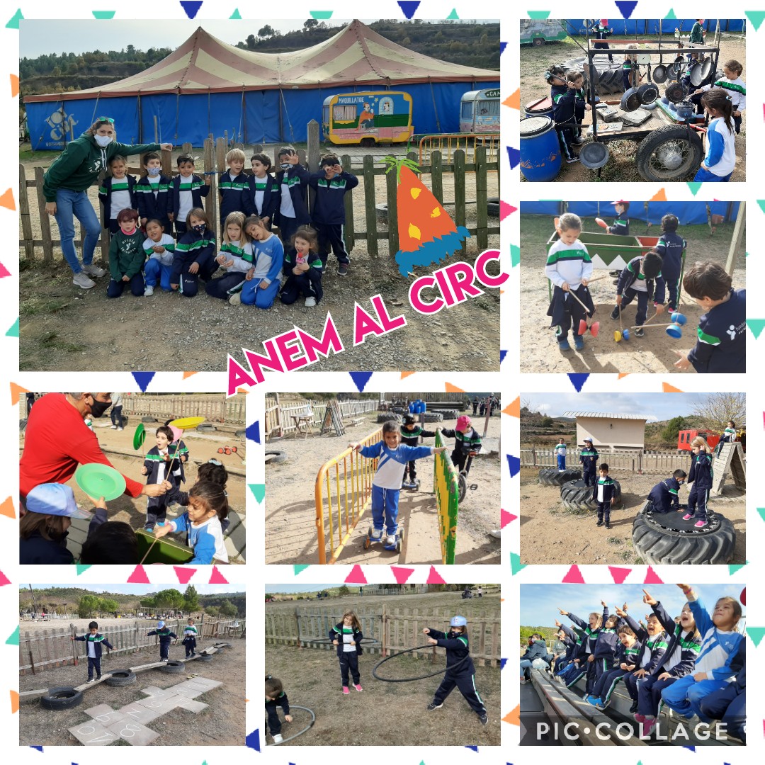 TeresesVilanova's tweet photo. Dia fantàstic al circ !!! Els cavallets de mar s'ho han passat genial !! #units #anemalcirc @TeresesVilanova @FETeresiana https://t.co/ZUe2IKmjKu