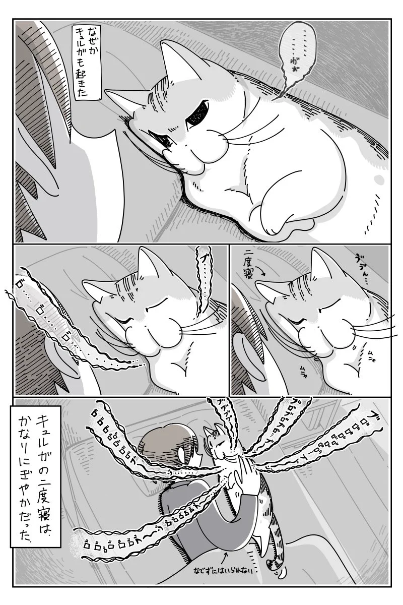 猫ってこういうとこある。気がついたら隣で寝てるｗｗ