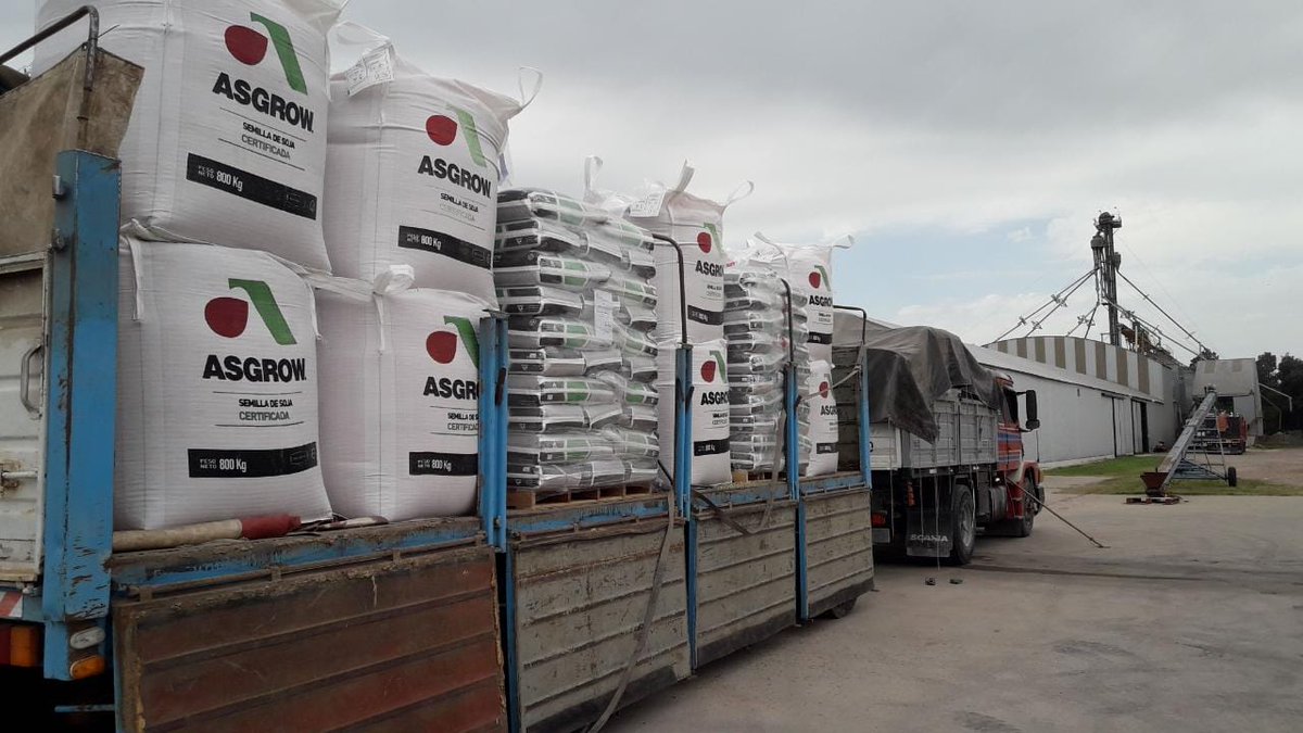 Cargando con ingenio para eficientizar logística. <a href="/Asgrow_DEKALB/">DEKALB Asgrow Seed</a>