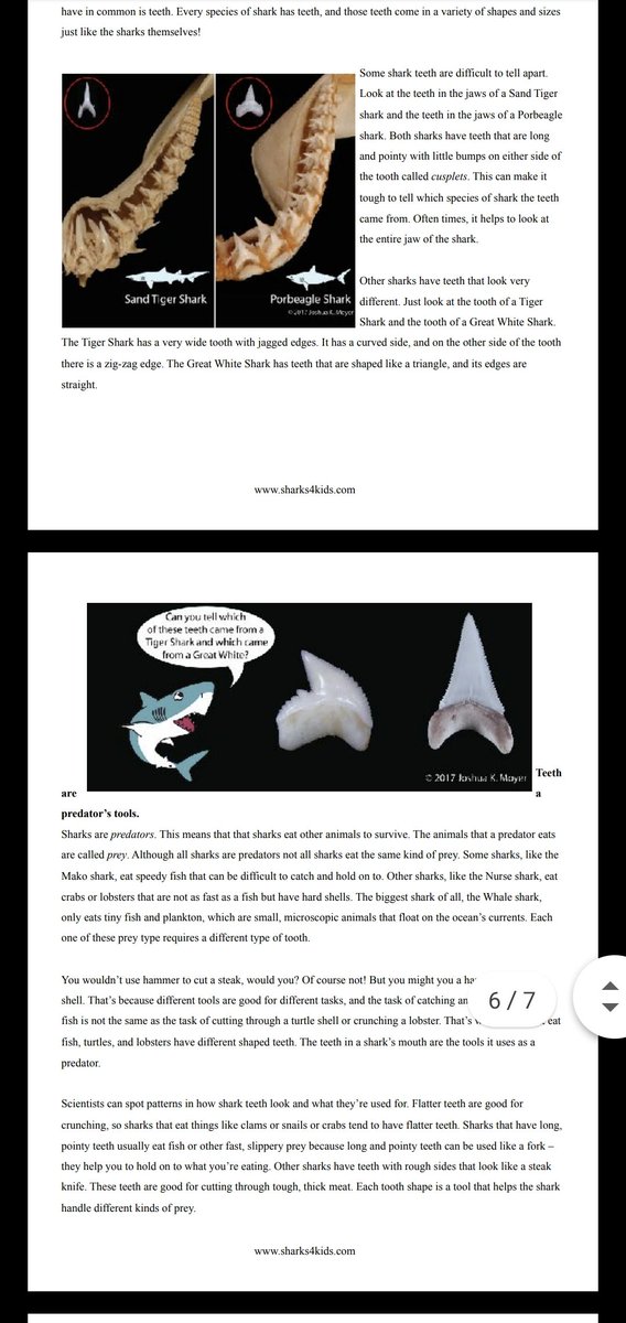 Sharks4Kids's tweet image. Curriculum Highlight: our jawsome shark tooth lesson! All of our lessons on our website meet all standards and common core, and are free to download. 

buff.ly/2I8Y4Vy