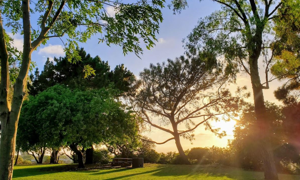 OceansideRec's tweet photo. BUDDY TODD PARK
Plan your #thursdaymorning for a walk through Buddy Todd Park! 
Interesting Fact: In 1946, the park was renamed  for John "Buddy" Todd, the first #Oceanside resident to give his life for his country in World War II.
#OceansideCA #ParksAndRec https://t.co/NL1EL4Mrvy