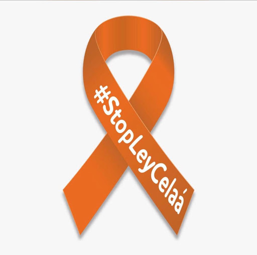 cavival's tweet photo. Los padres de los 8.217.662 alumnos en edad escolar no podrían escoger el colegio de sus hijos e hijas. No dejes que otros elijan por ti. ¡Di NO a la #LOMLOE! En @lasallearlep decimos #StopLeyCelaá #MasPlurales @MasPlurales https://t.co/7MlfSl5Zrx