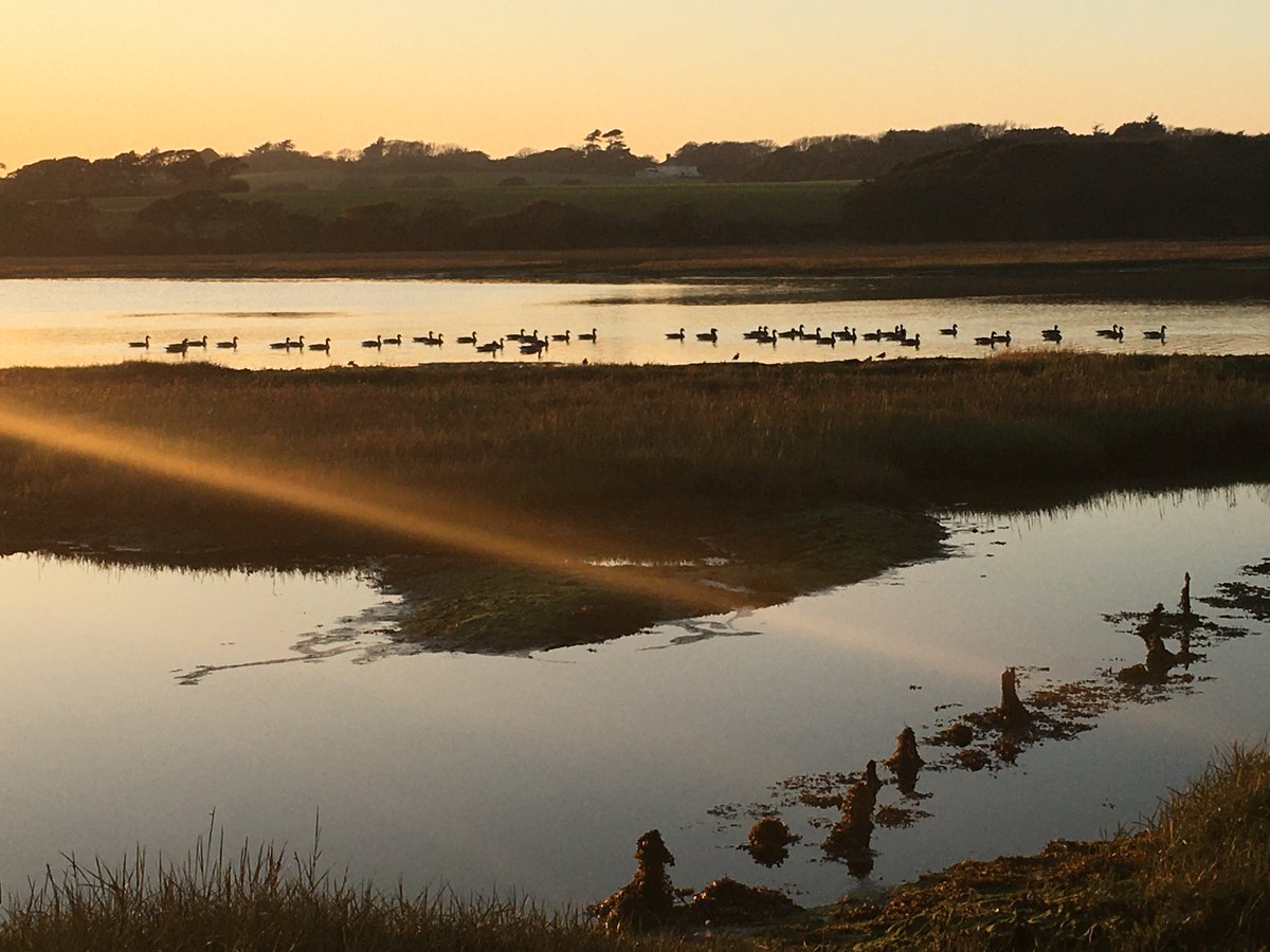 todayatthebay's tweet photo. The River Yar this evening. It starts about 50mtrs from Freshwater Bay and flows to Yarmouth - on the opposite coast. https://t.co/5lnEpgYImY