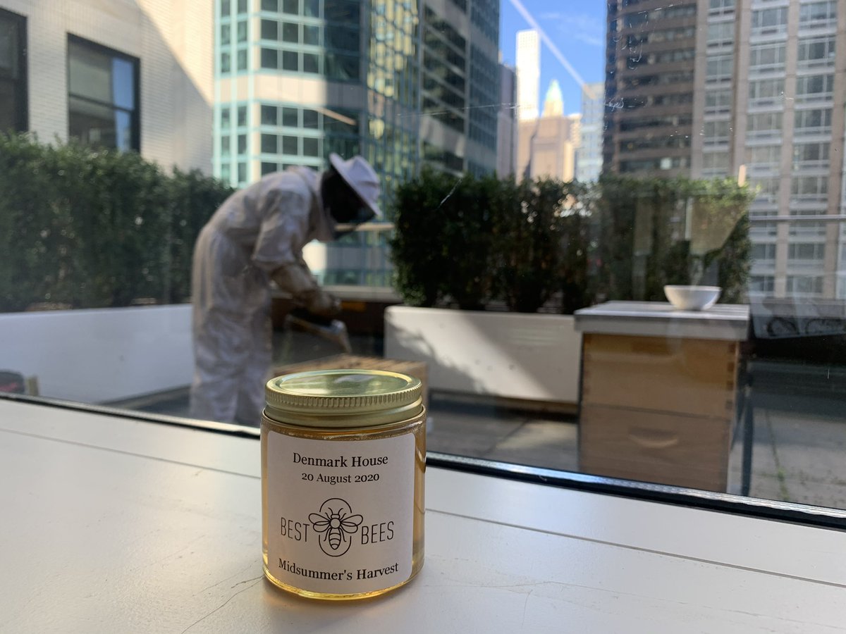 DenmarkinNY's tweet photo. What’s sticky, tasty, and made by 60,000 buzzy bees? 🐝

If you guessed #DenmarkHouse honey then you’d be right!🍯

Today, we harvested 12 jars of honey from our sustainable beehive right here in Midtown Manhattan. 

Read more about our honey project

➡️ https://t.co/oJS5wzLerg https://t.co/Lm8xTmdZFG