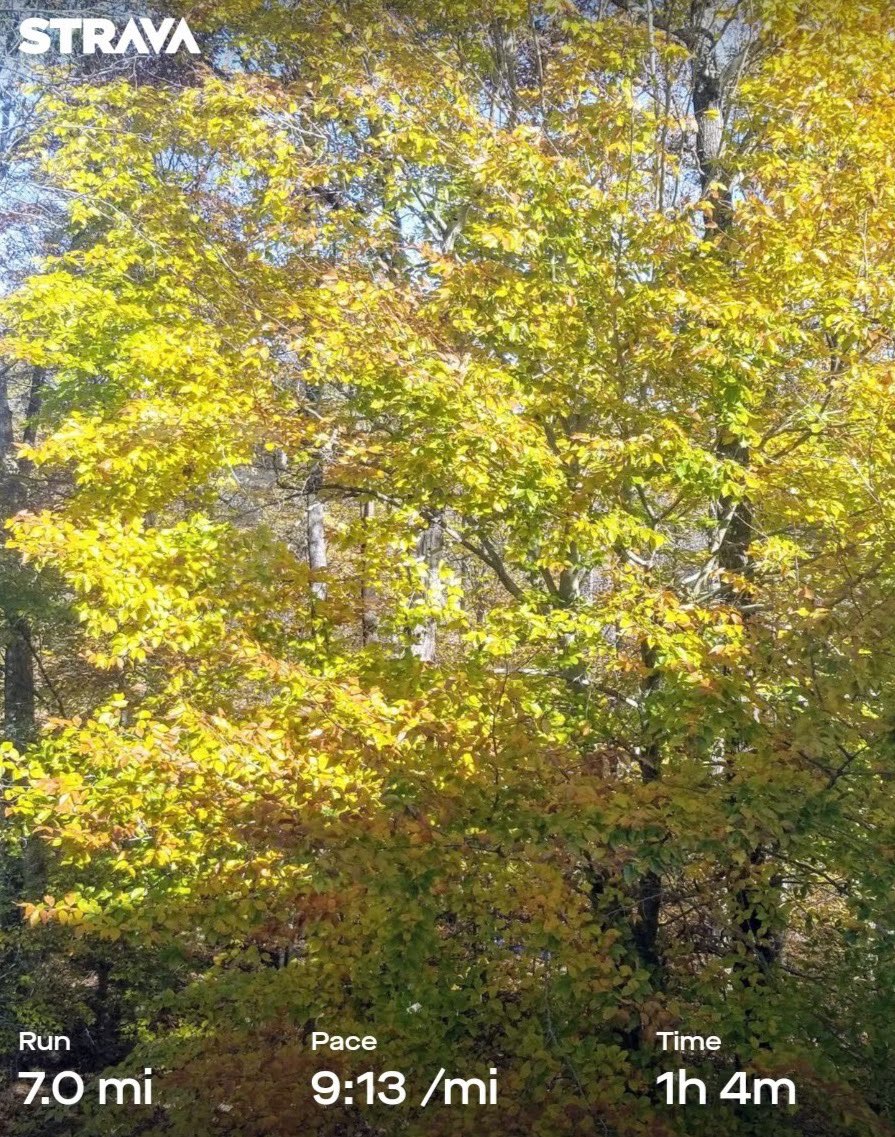 Dave5Runs's tweet photo. Gorgeous day for a run. Played golf yesterday so was well-rested 🏌🏻‍♂️🍺🏃‍♂️🇺🇸. #NAFlagvisorWW https://t.co/qjj2t1rch2